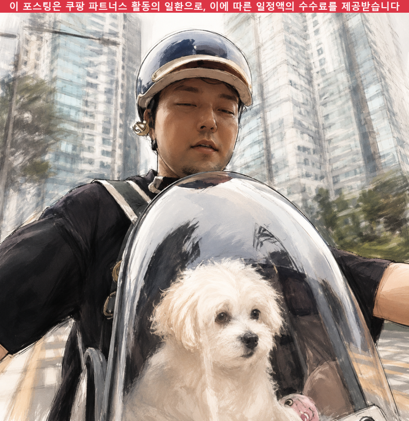 전현무 강아지 가방 백팩, 순무 위한 우주선 모양 캐리어,나혼자산다