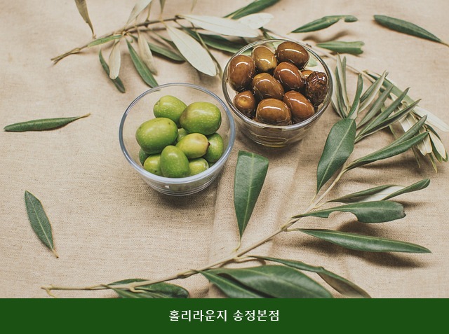 홀리라운지 사진 1
