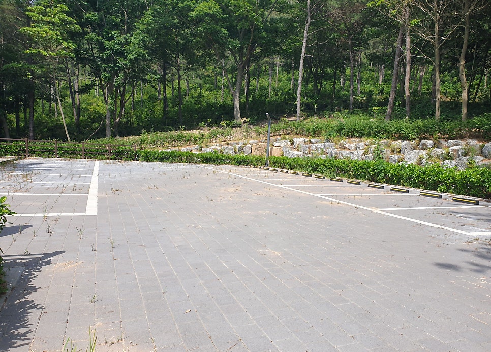 고금도 사진 3