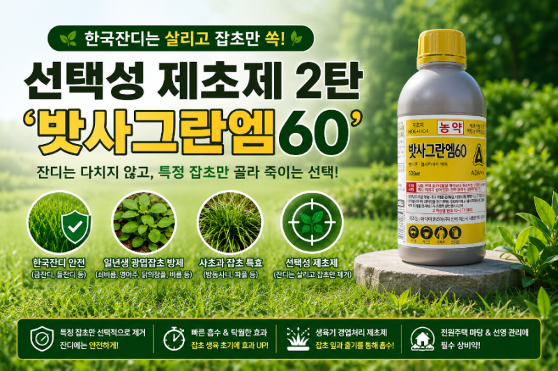 강화도 잔디관리전문 까까오풀이 알려주는 밧사그란엠60 제초제 특징과 효과 좋은 잡초 종류