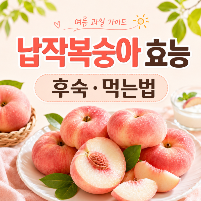 납작복숭아 효능·후숙·먹는법 맛있게 즐기기