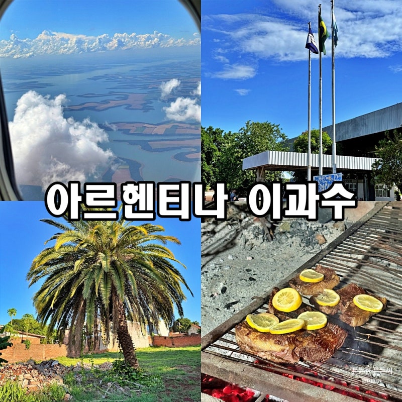 남미 12] 택시타고 육로로 국경넘기!브라질 이과수>>아르헨티나 이과수 입국방법 비용 숙소 ....
