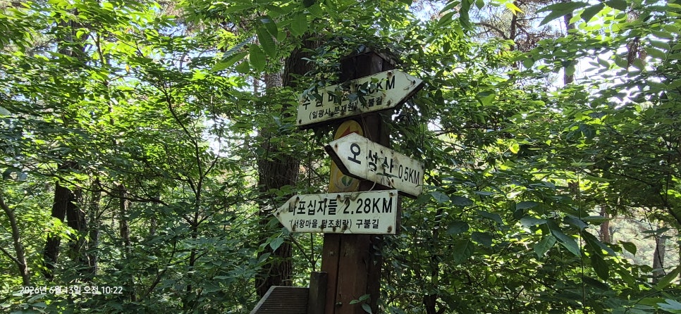 금성산 사진 6