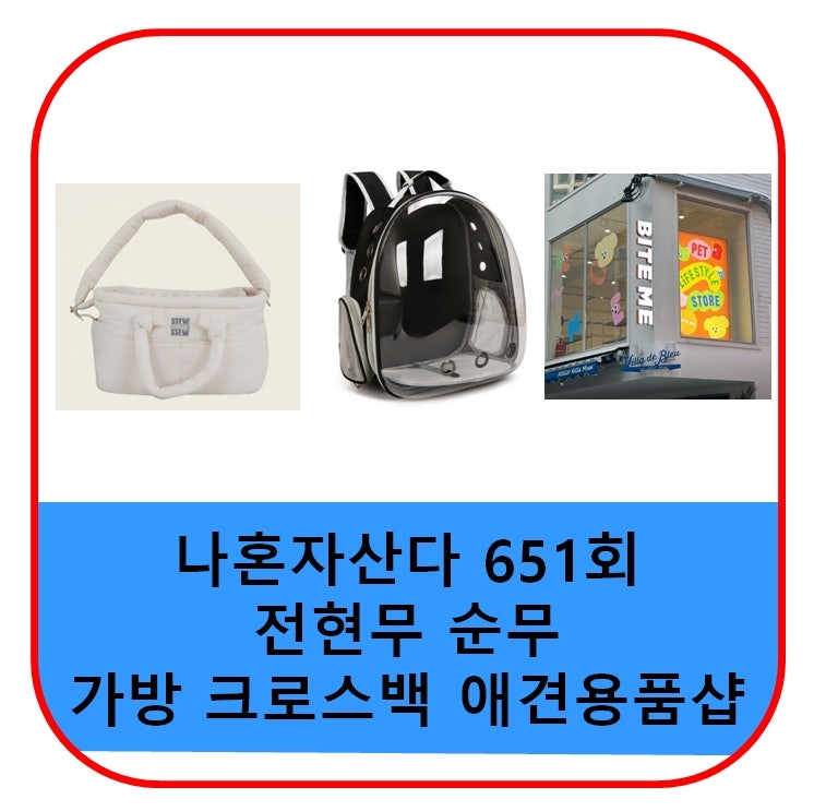 나혼자산다 전현무 순무 백팩 크로스백 캐리어 애견용품숍 샵 매장 이동 가방 케리어 강아지....