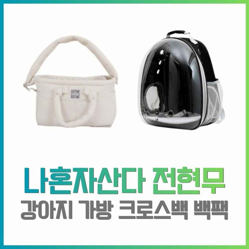 나혼자산다 전현무 강아지 가방 크로스백 백팩 나혼산 651회 정보 총정리