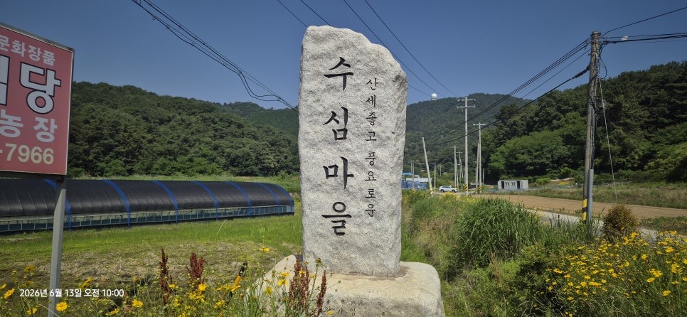 금성산 사진 2