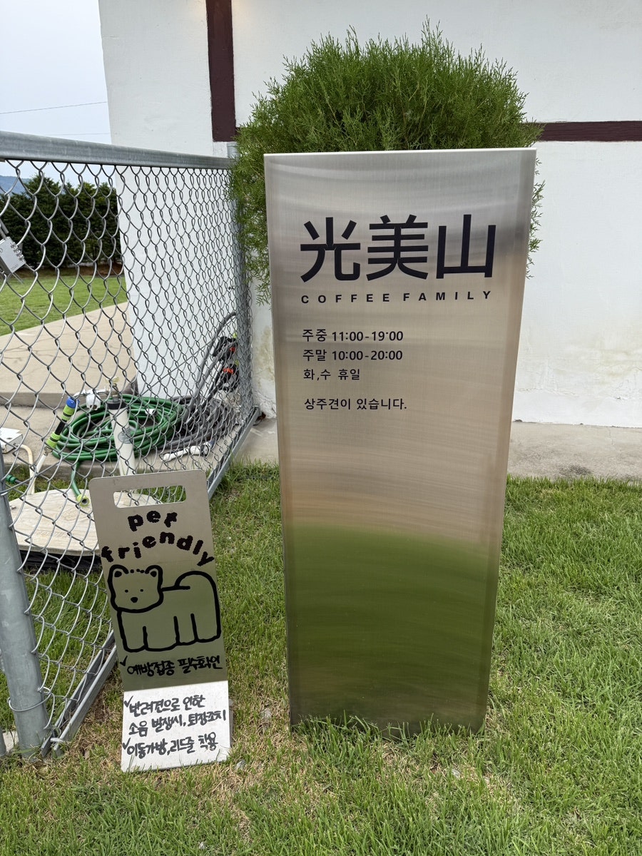 대파꽃 사진 1