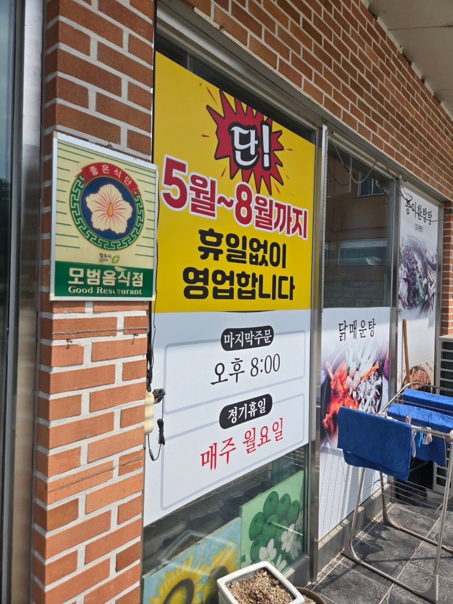 콩가내 사진 5