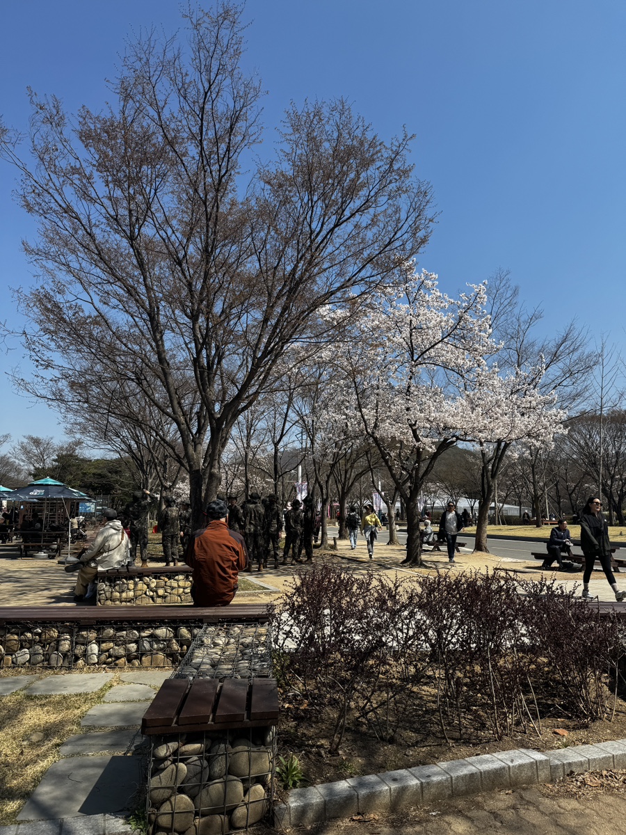 싸리골우렁쌈밥 본점 사진 3