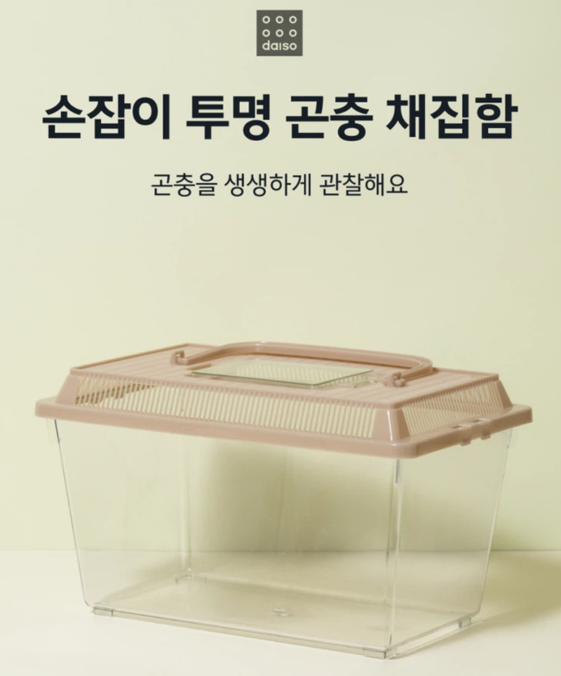 사슴벌레 키우기 시작! 다이소&인터넷 조합으로 만 원 이상 아끼는 가성비 팁 (feat. 아들 둘 ....