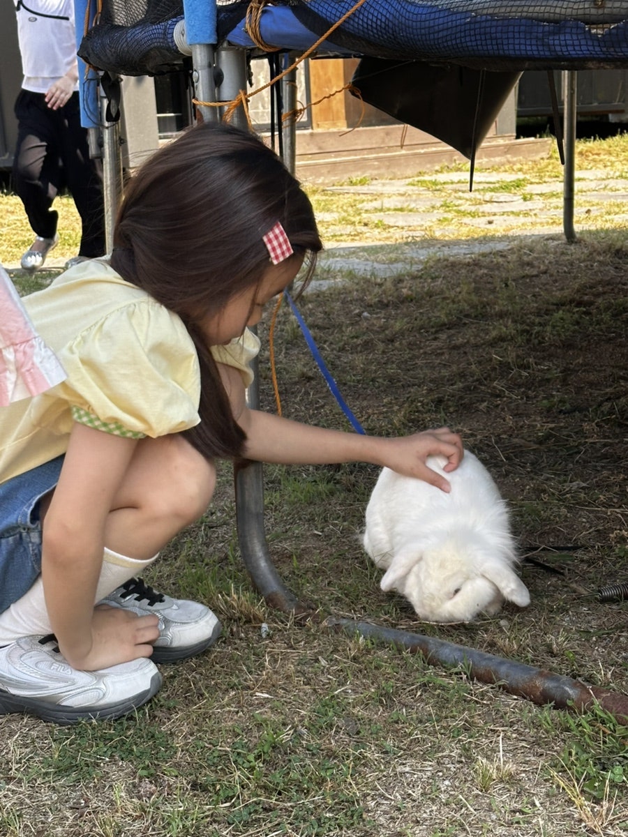 숯불구이전문점 정가 사진 5