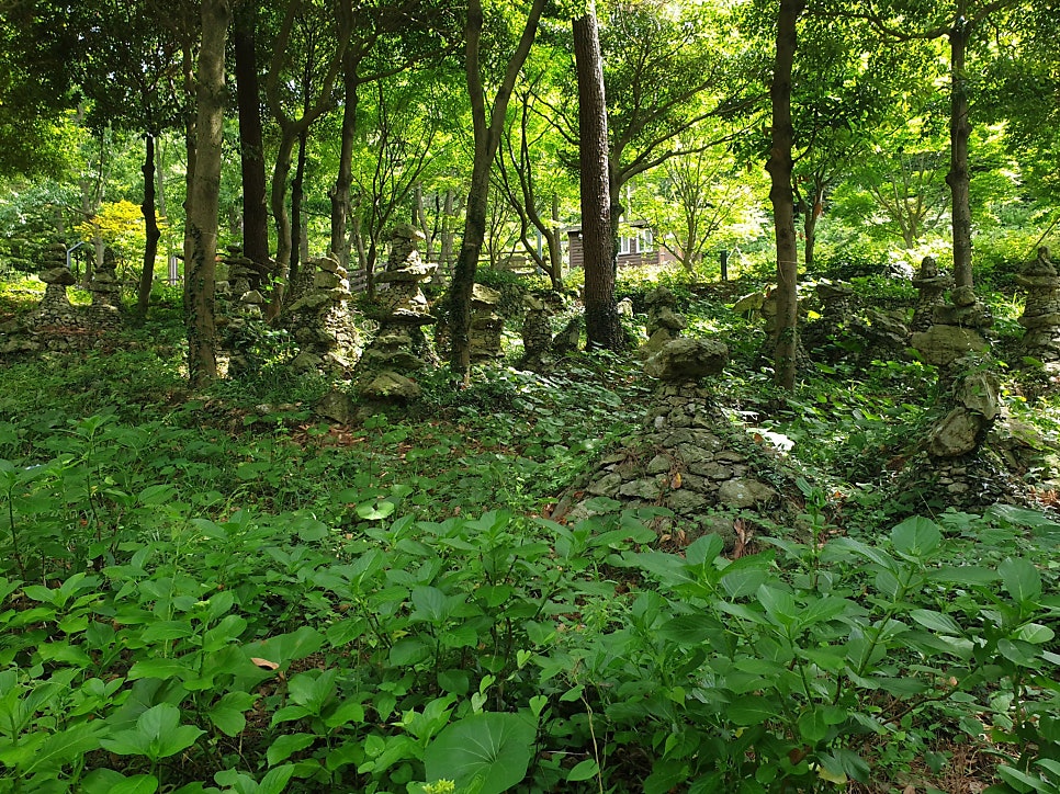 고금도 사진 4