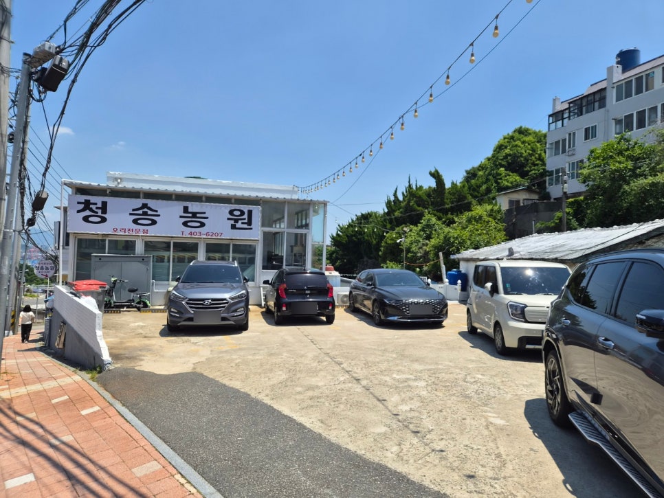 청송농원 사진 2