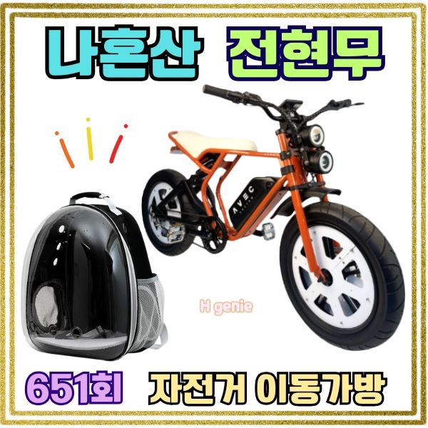 나혼자산다 전현무 전기 자전거 자토바이 반려견 투명 동물 이동가방 백팩 정보 정리