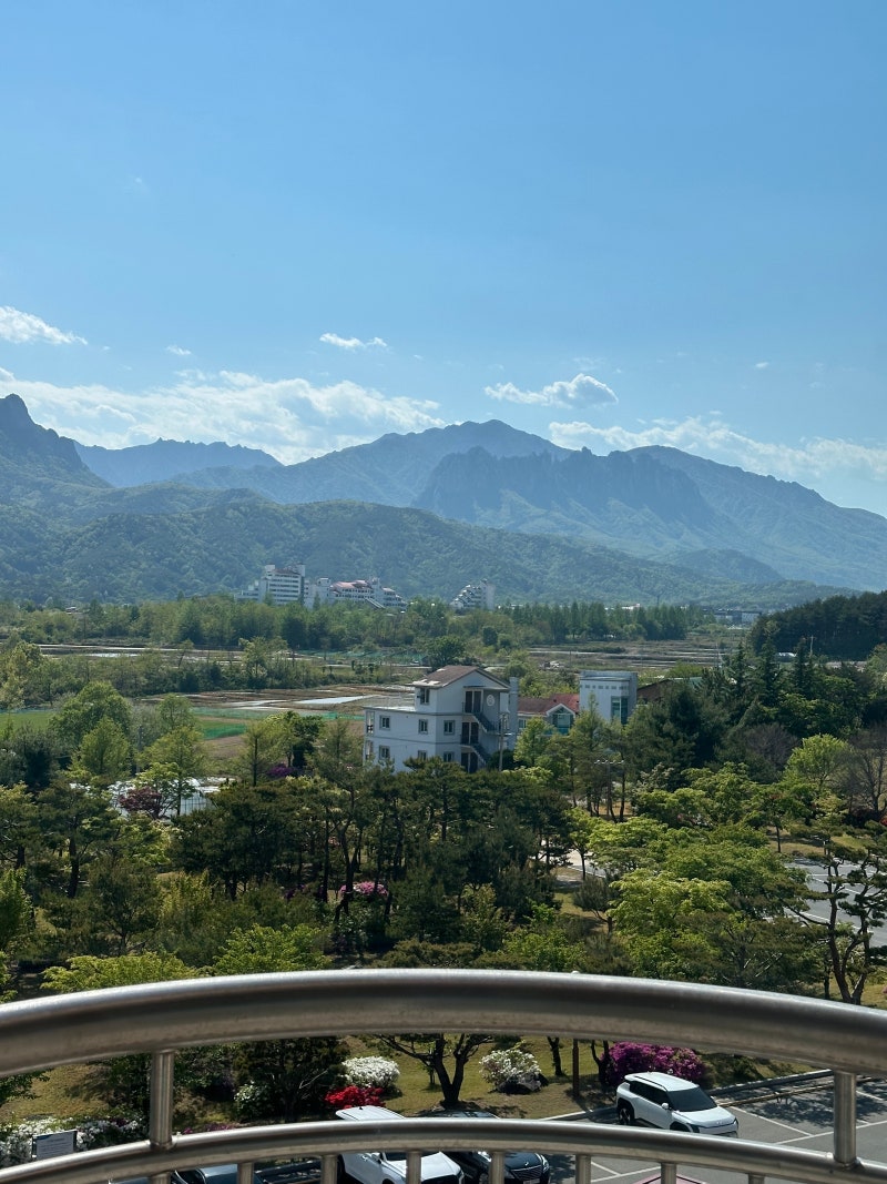 속초 농협수련원 23평 객실 후기｜설악산뷰 객실, 이용대상, 가격 총정리