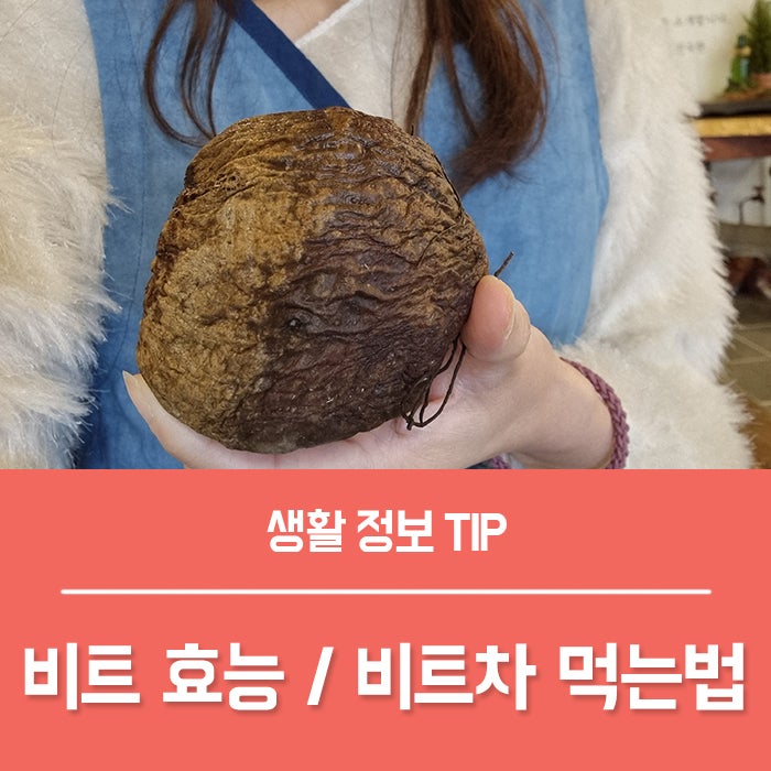비트효능 부작용, 비트차 먹는법 하루 몇 잔이 좋을까?