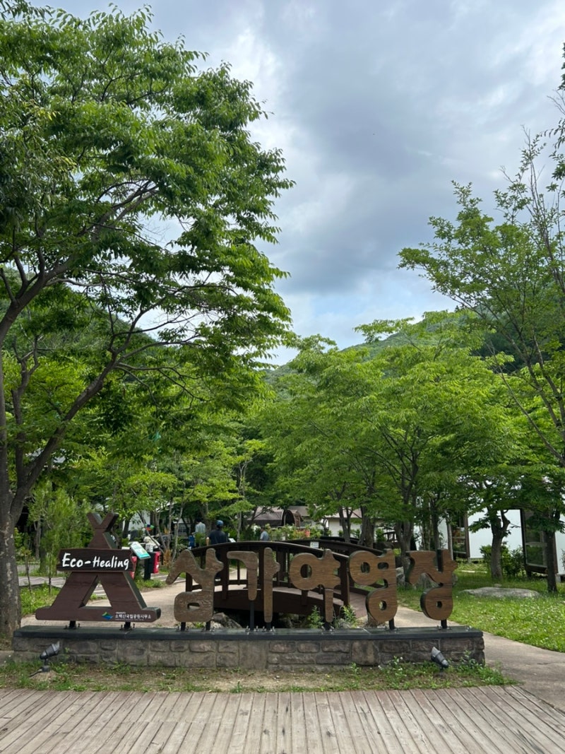 소백산 국립공원 특화야영장 삼가야영장 에코힐링야영장 7번