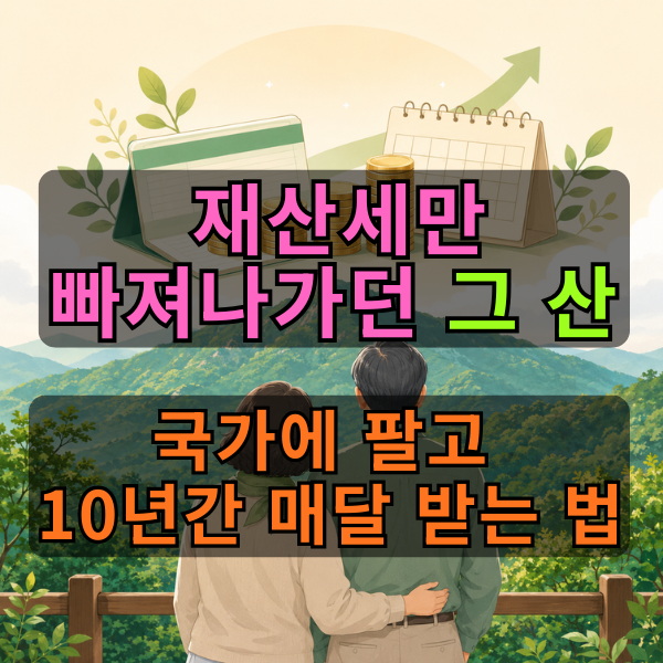 팔리지도 않는 애물단지 '산(임야)', 국가가 사주고 10년간 매달 돈 준다? 산지연금 자격·선지....