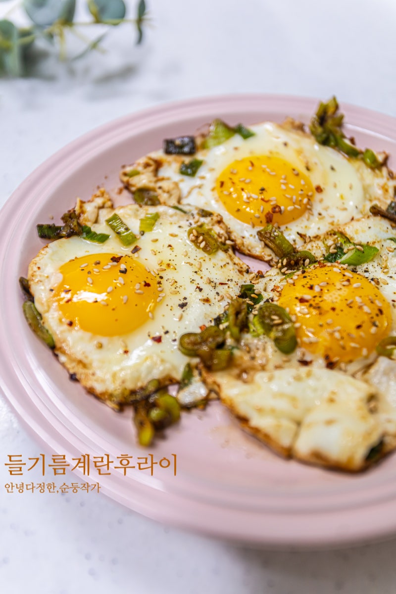 들기름 계란후라이 만드는법 5분뚝딱 초간단 계란요리 레시피 간장계란밥으로 간단한끼