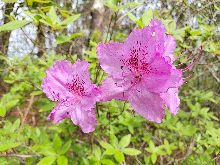 견두산 사진 3