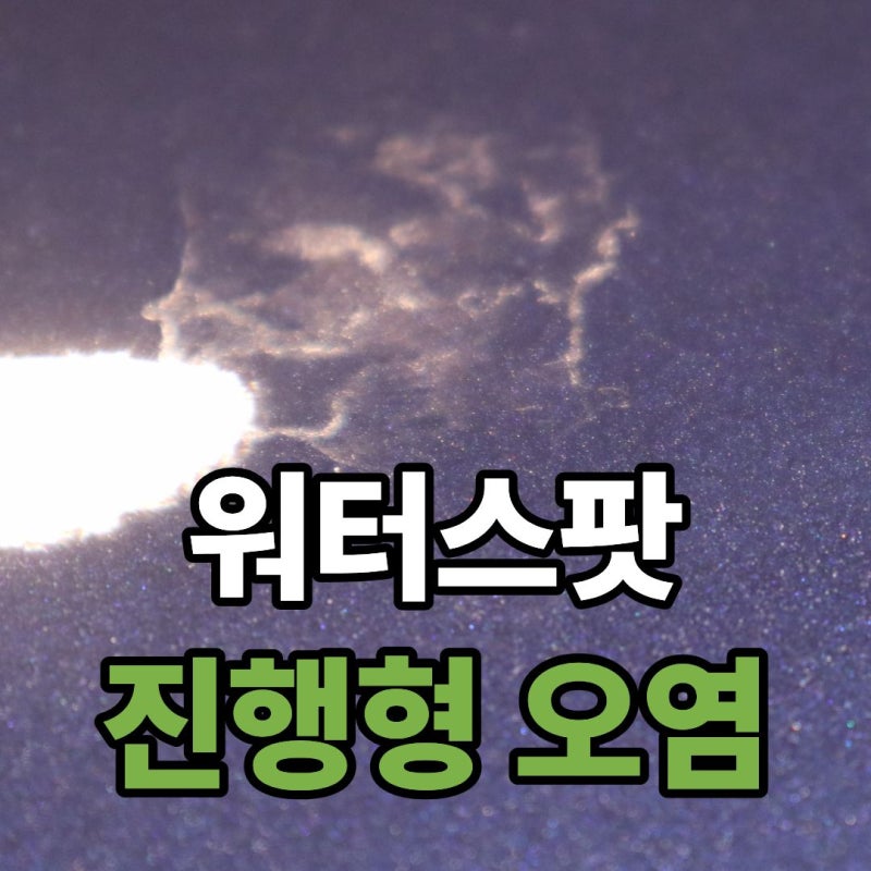 자동차 워터스팟 제거 방법 | 발생 원인부터 제거 순서까지