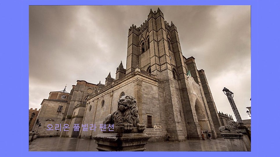 오리온풀빌라스파펜션 사진 4