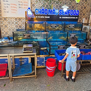 나트랑 해산물 맛집 짜오마오2 씨푸드 CHAO MAO seafood 내돈내산 + 브이몽티비 구독 할인