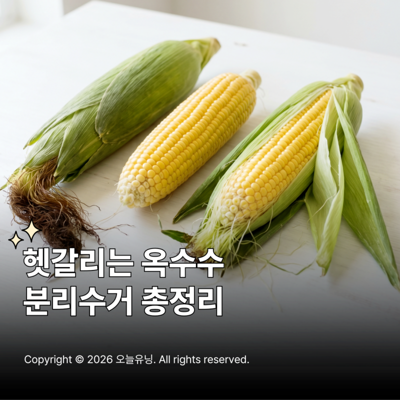 옥수수 껍질 분리수거 버리는 방법 알아보기