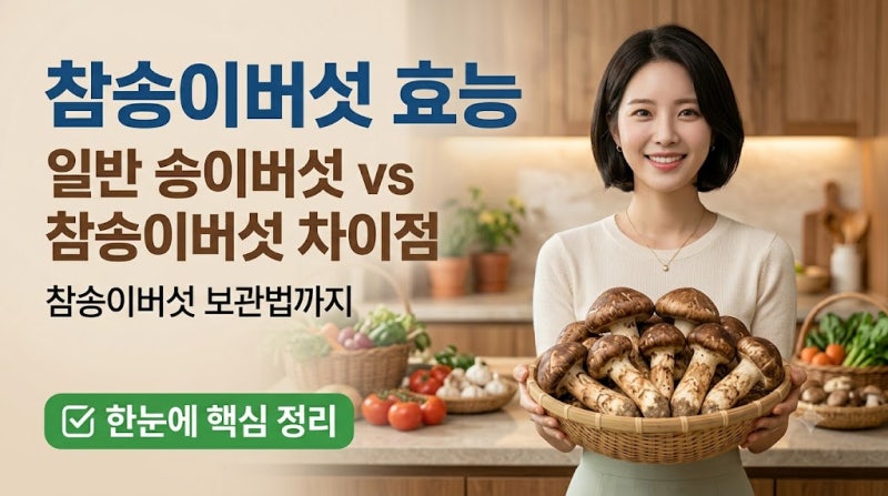 [참송이버섯효능] 일반 송이와 차이점부터 신선한 보관법, 먹는법 총정리!