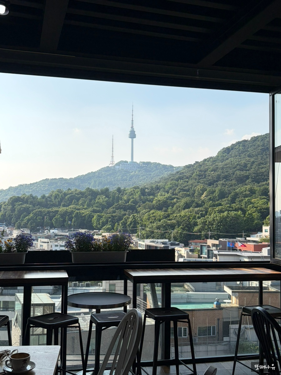 케냐키암부 사진 6