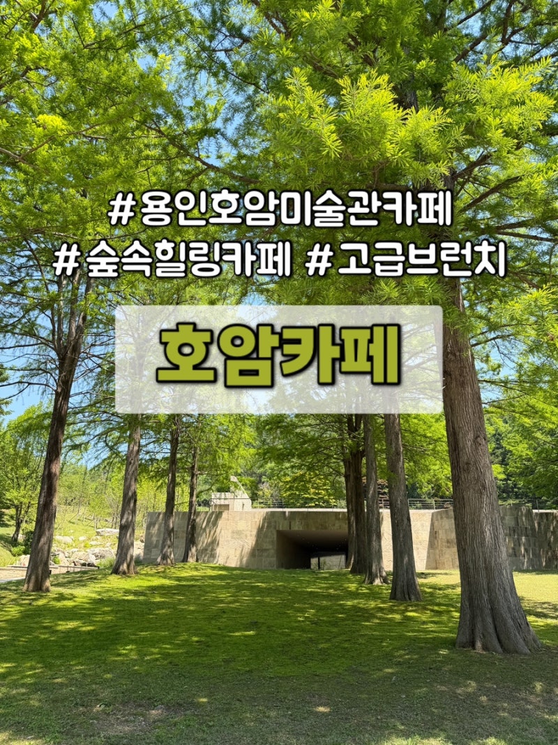 [용인 호암미술관 카페] 부모님 모시고 가기 좋은 호암카페 고급 브런치 l 힐링 숲속 카페