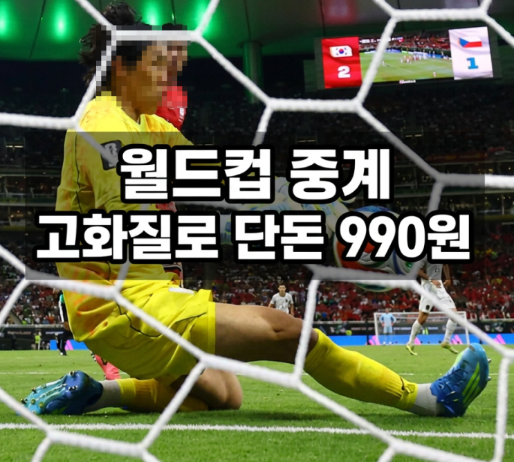  월드컵 중계 OTT 어디서 봐? 990원에 치지직 고화질로 보는법
