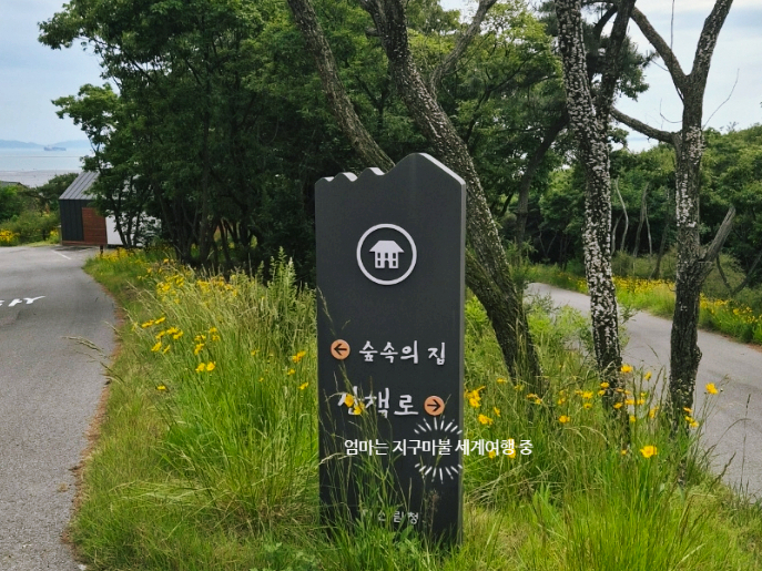 국립무의도자연휴양림 문갑도 사진 6
