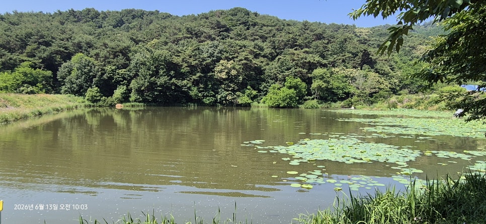 금성산 사진 4