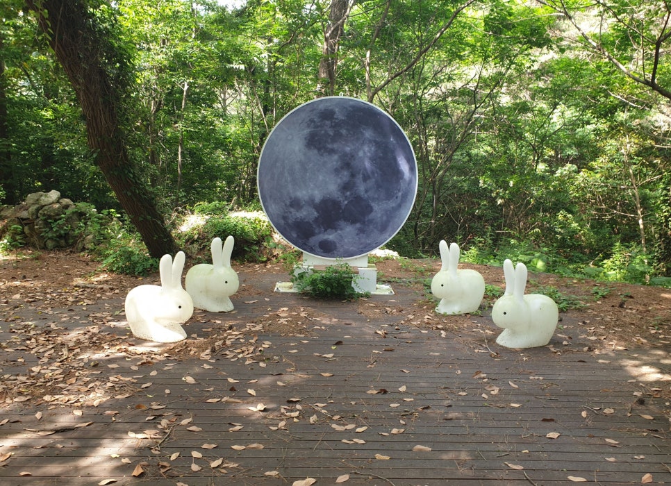 고금도 사진 6