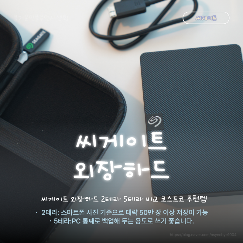 씨게이트 외장하드 2테라 5테라 용량 비교, 코스트코 추천템 고르는 법