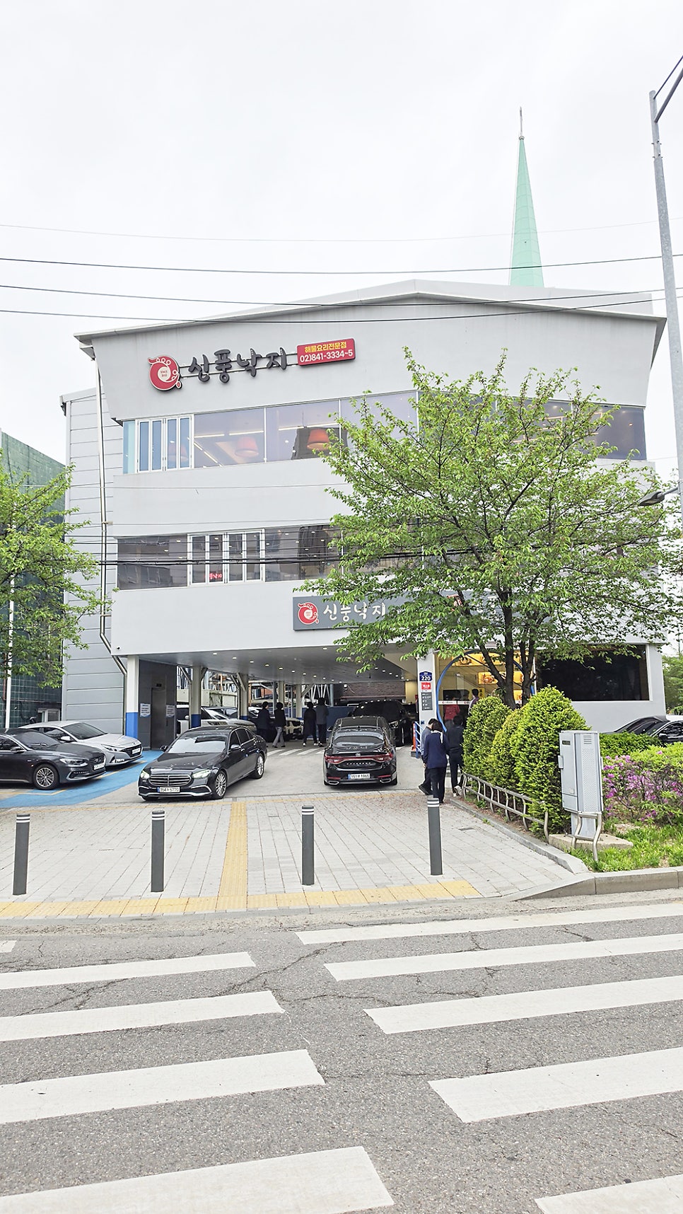 신풍낙지 사진 4
