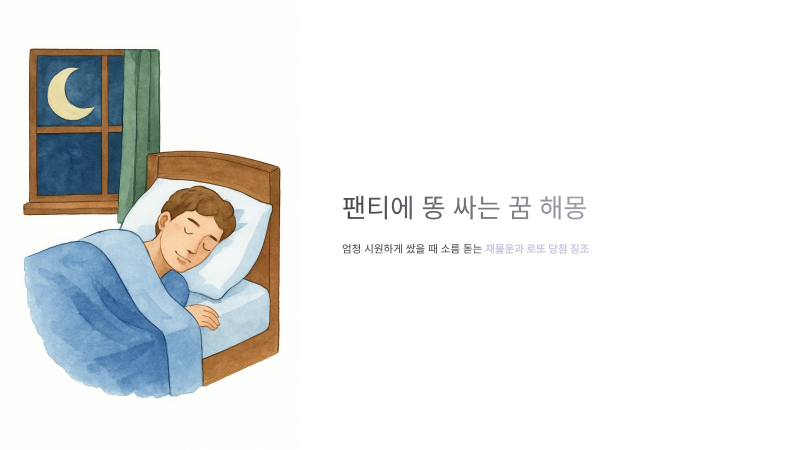 팬티에 똥싸는꿈 해몽 엄청 시원하게 쌌을 때 소름 돋는 재물운과 로또 당첨 징조