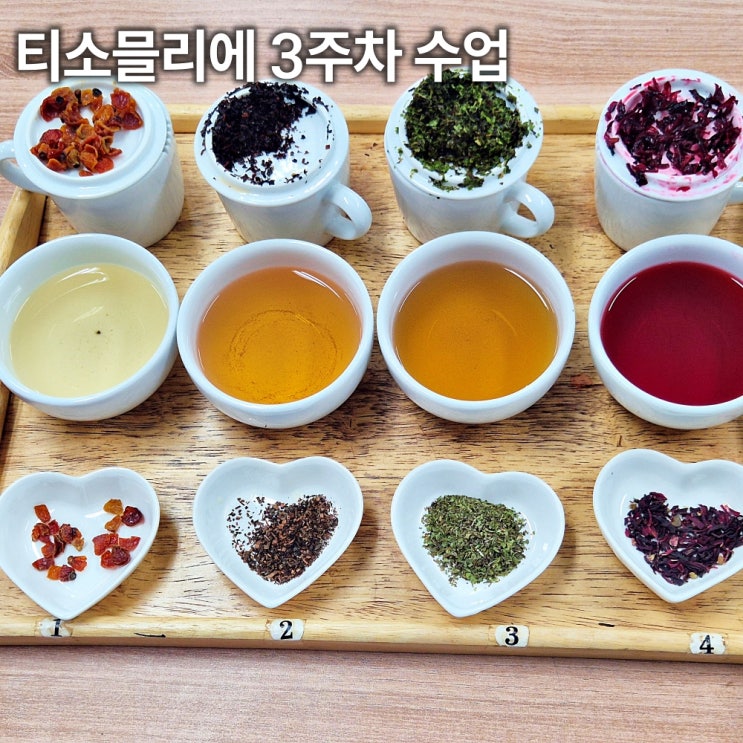  티소믈리에 2급 3주차 수강후기 허브티와 인도 홍차