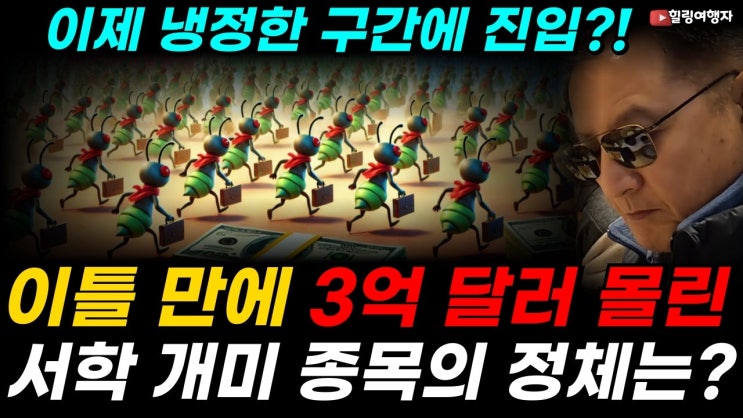 메모리 반도체 폭등! 이제 냉정한 구간에 진입?! 단 이틀 만에 서학 개미 매수금액 3억 달려 몰려든 종목의 정체는?