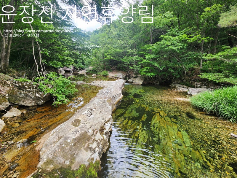 [전북] 진안 운장산자연휴양림 계곡 피서 & 물놀이 정보 업데이트
