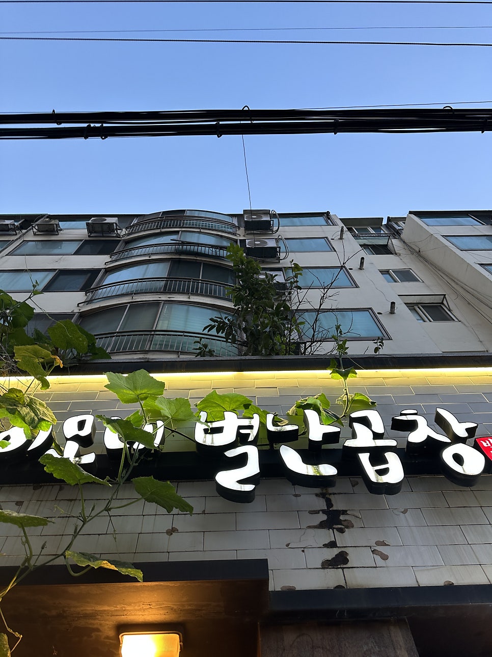 이모네별난곱창 사진 1