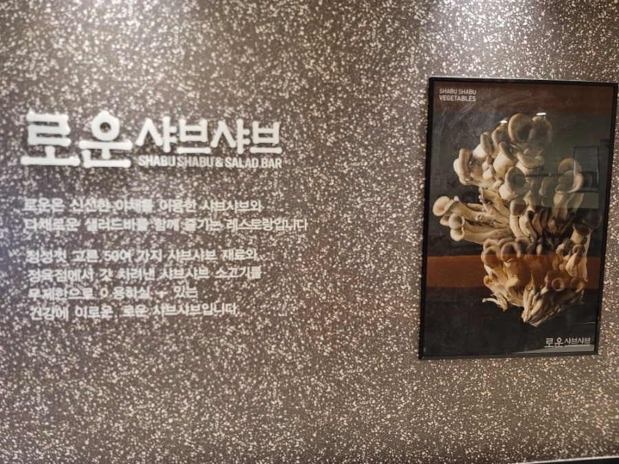 로운샤브샤브 뉴코아 평촌점 사진 3