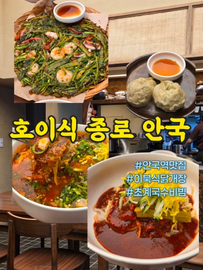 안국점심맛집 추천 호이식 종로 안국, 여름에 딱인 초계국수 한상과 이북식 닭개장 후기