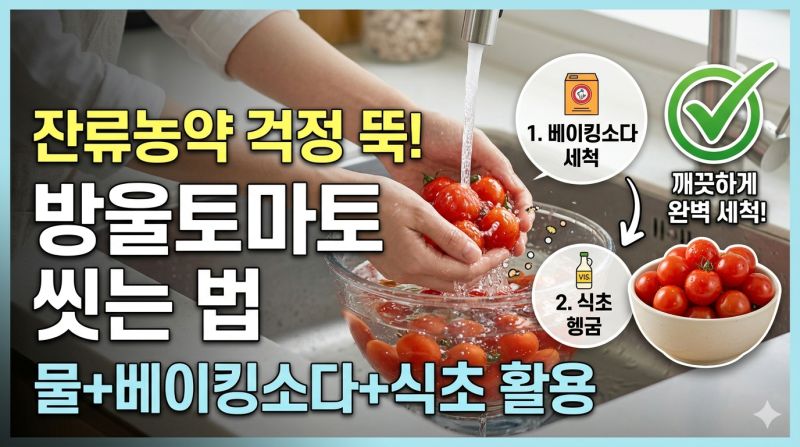 방울토마토 씻는 법｜잔류농약 없이 깨끗하게 세척하는 방법 총정리