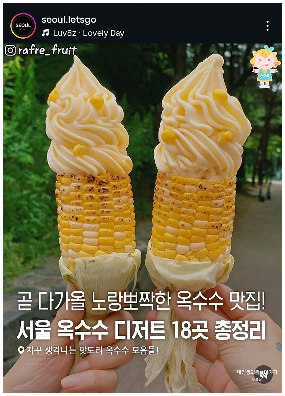 네시사분 사진 1