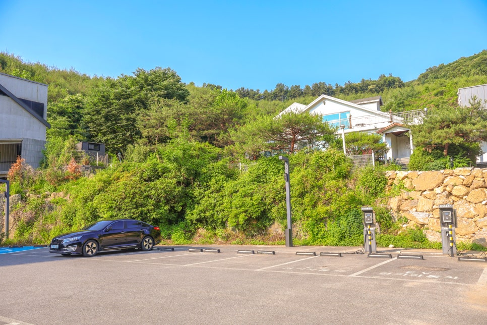 방골 사진 3