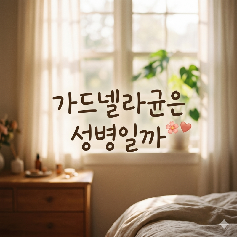 가드넬라균은 성병일까? 원인과 증상, 치료 및 재발 관리까지 정리