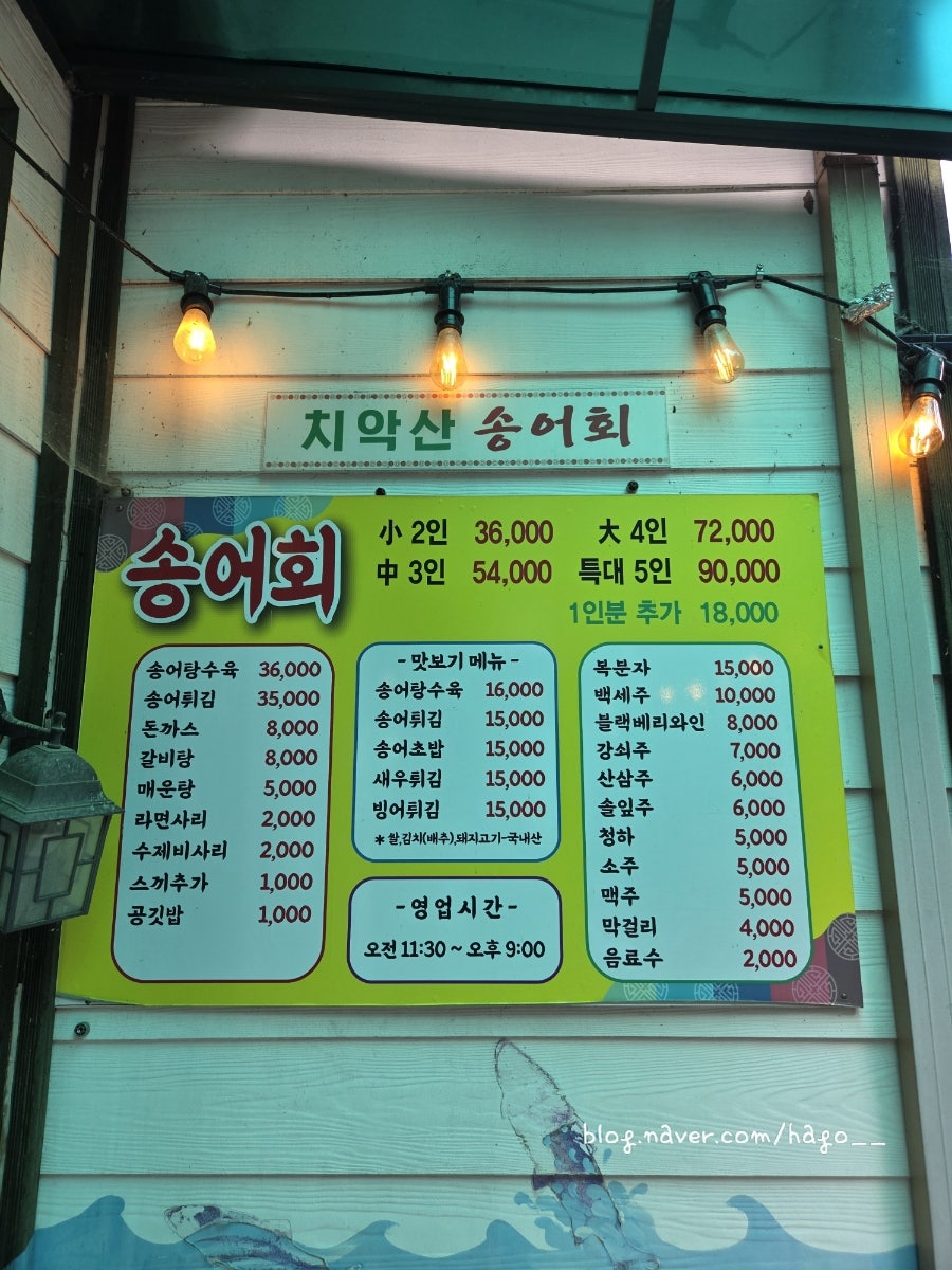 치악산송어회 사진 2