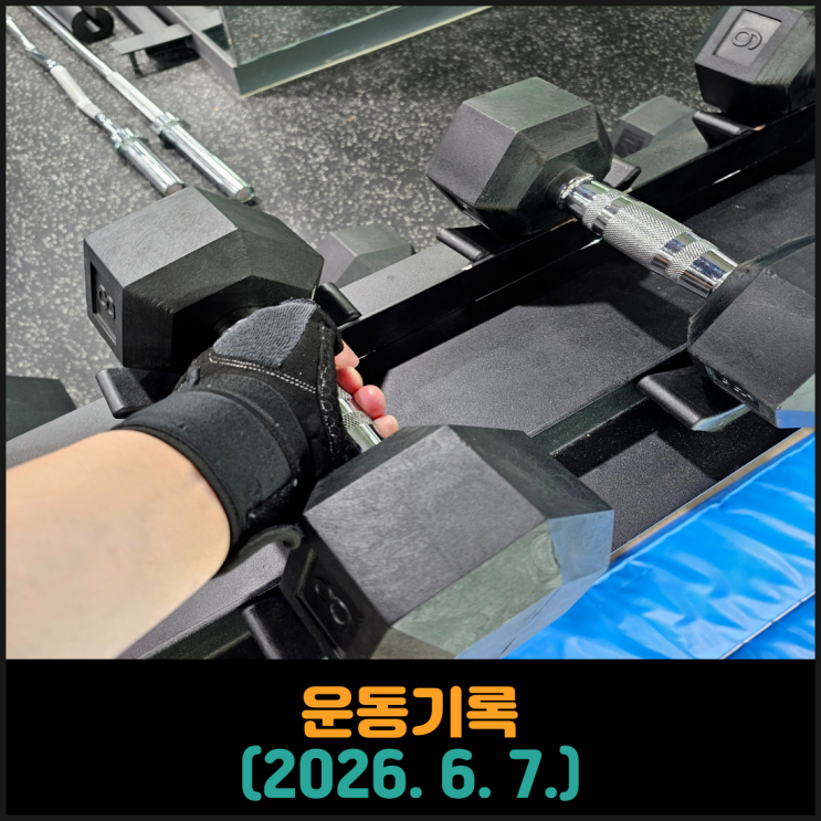 운동기록 (2026. 6. 7.)